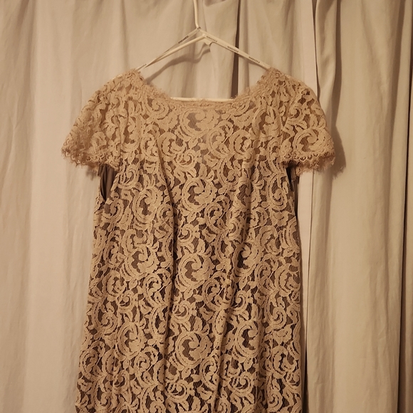 Tadashi Nude Lace Dress - Picture 2 of 5